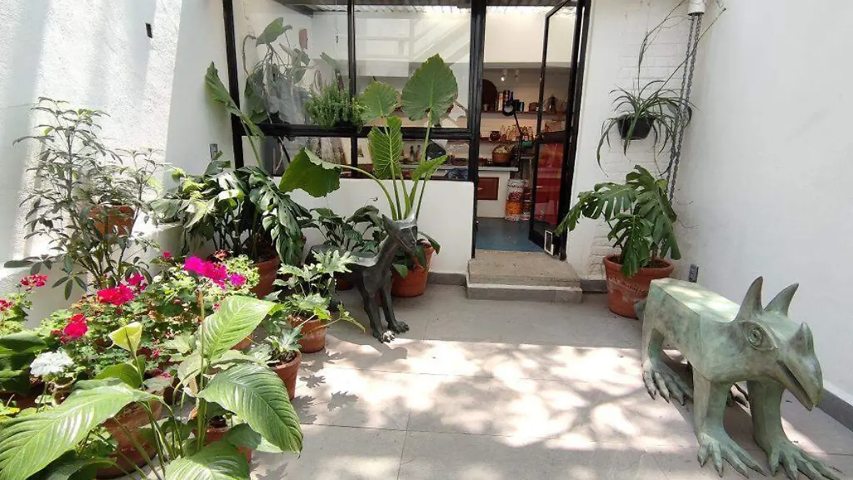 Casa Leonora Carrington 2 