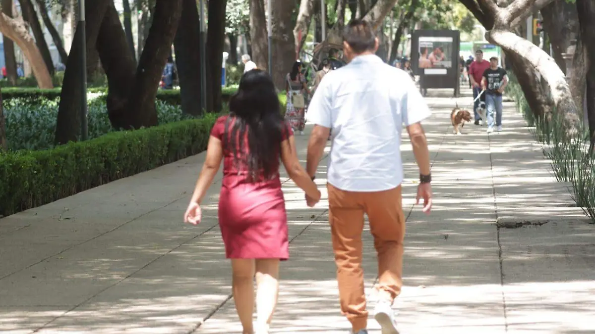 WhatsApp Image 2023-08-13 at 11.55.47 AM