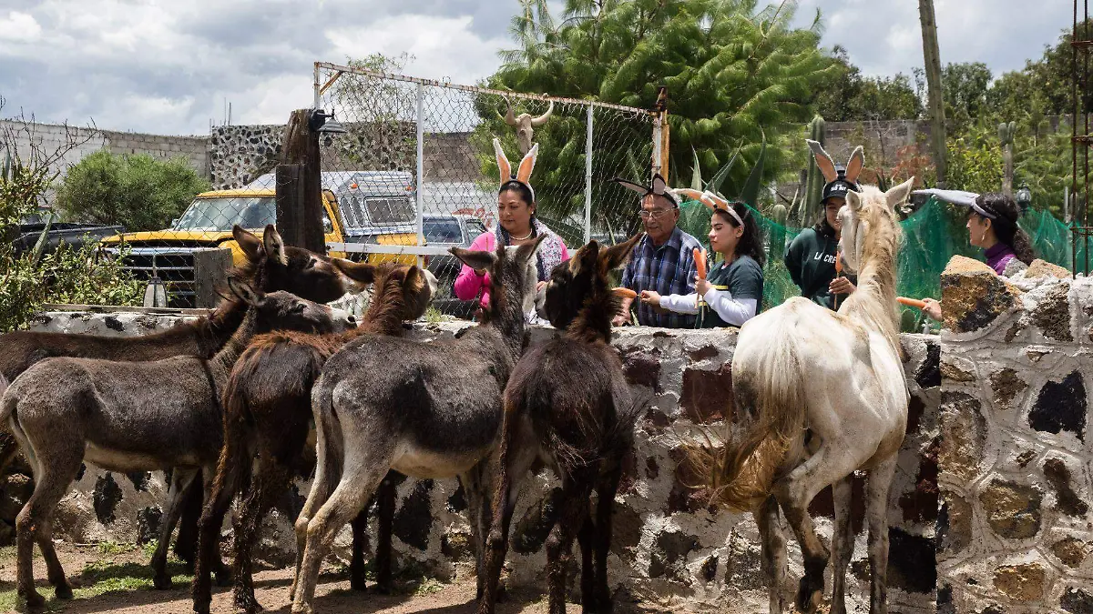 cuartoscuro_715220_digital