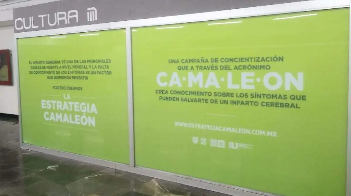 Camaleón