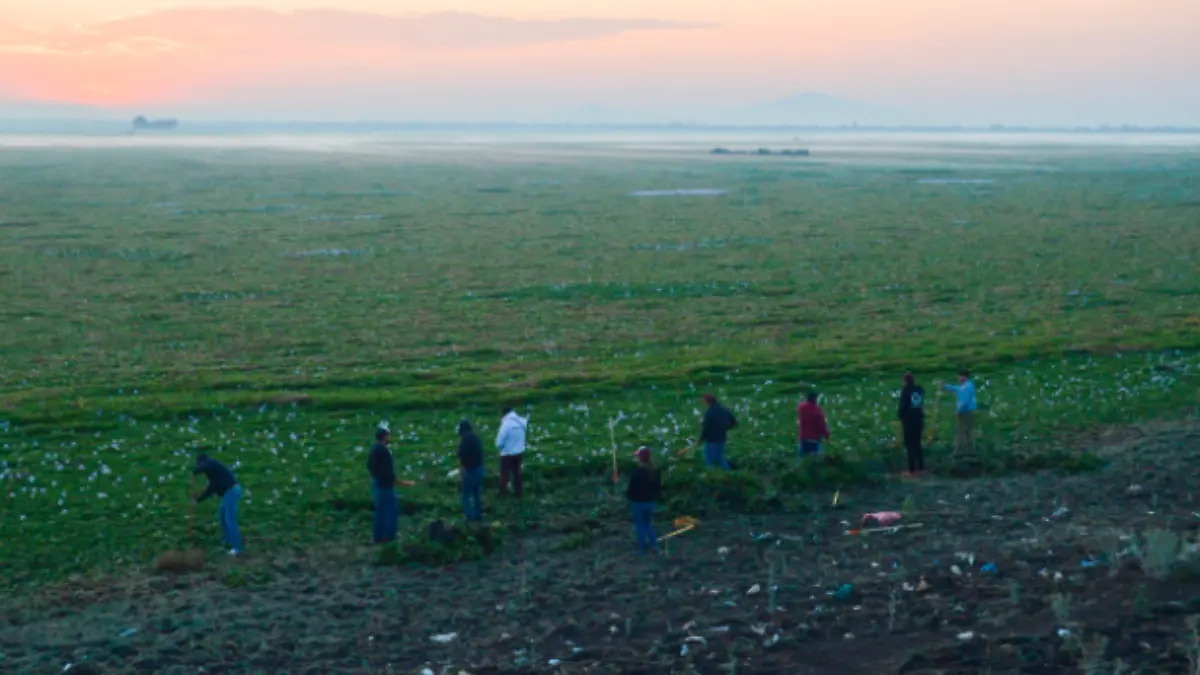 Captura de Pantalla 2022-05-12 a la(s) 16.15.00