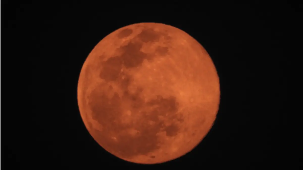 Se llevará a cabo el próximo 19 de noviembre un eclipse lunar