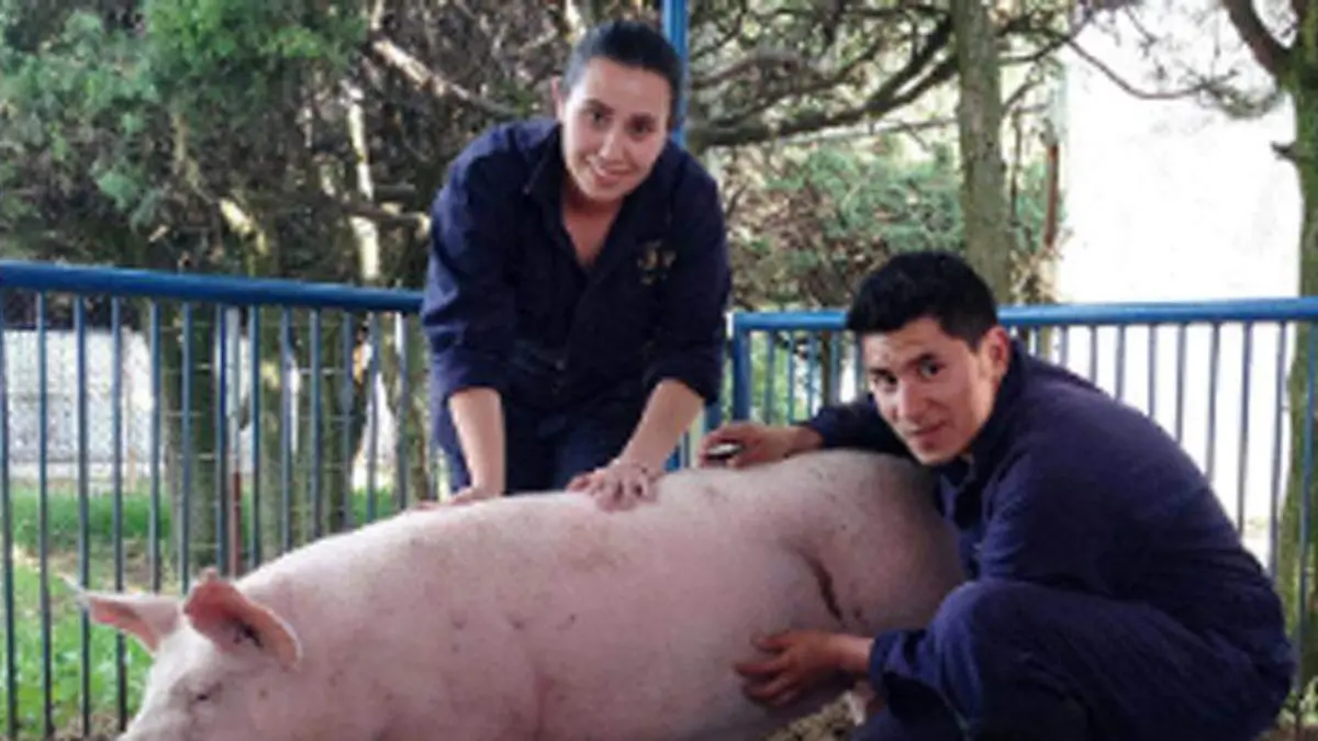 veterinaria-unam