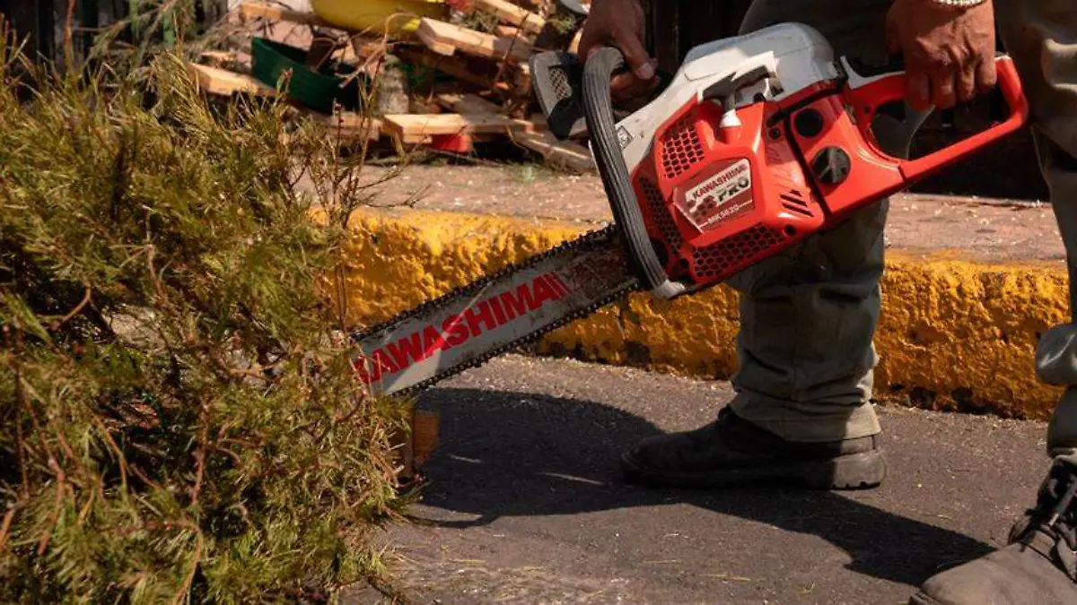 árboles-de-navidad