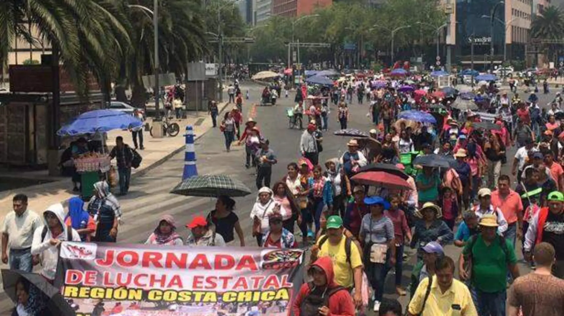 marcha-cnte