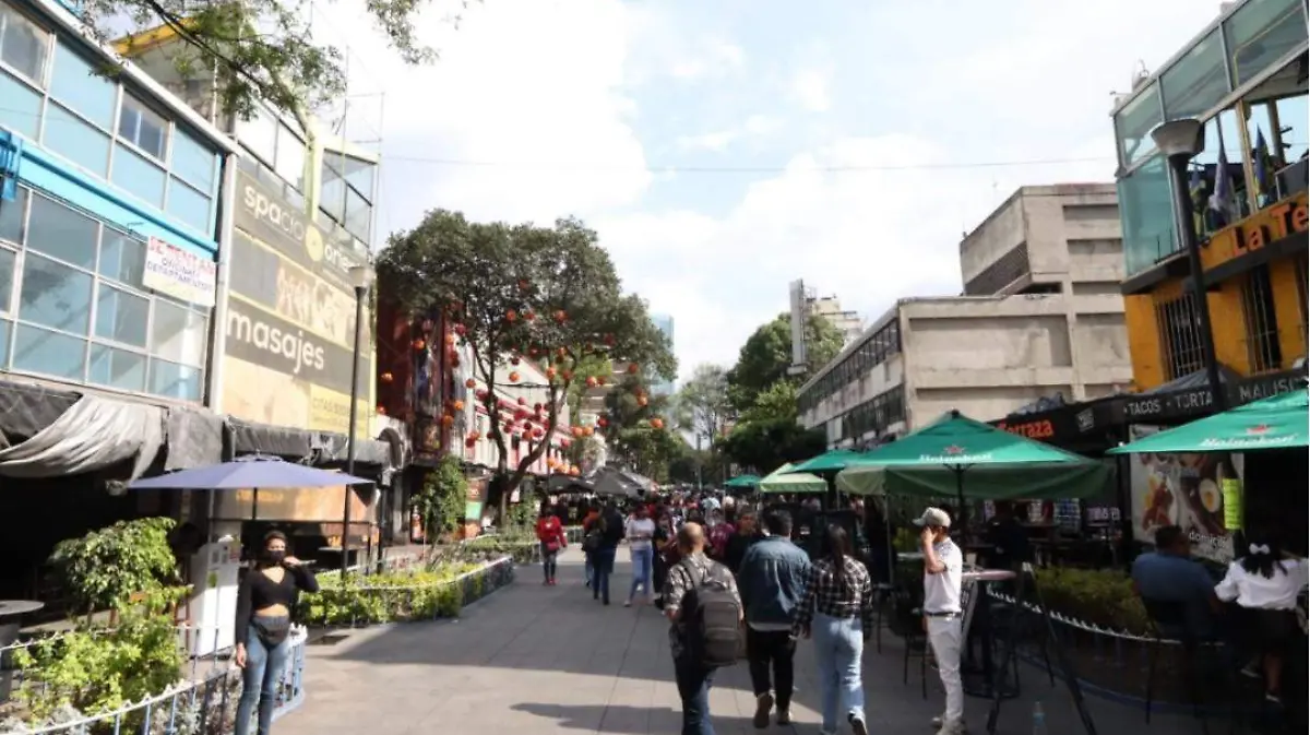 Elabora Seduvi el Plan Maestro de la Zona Rosa 