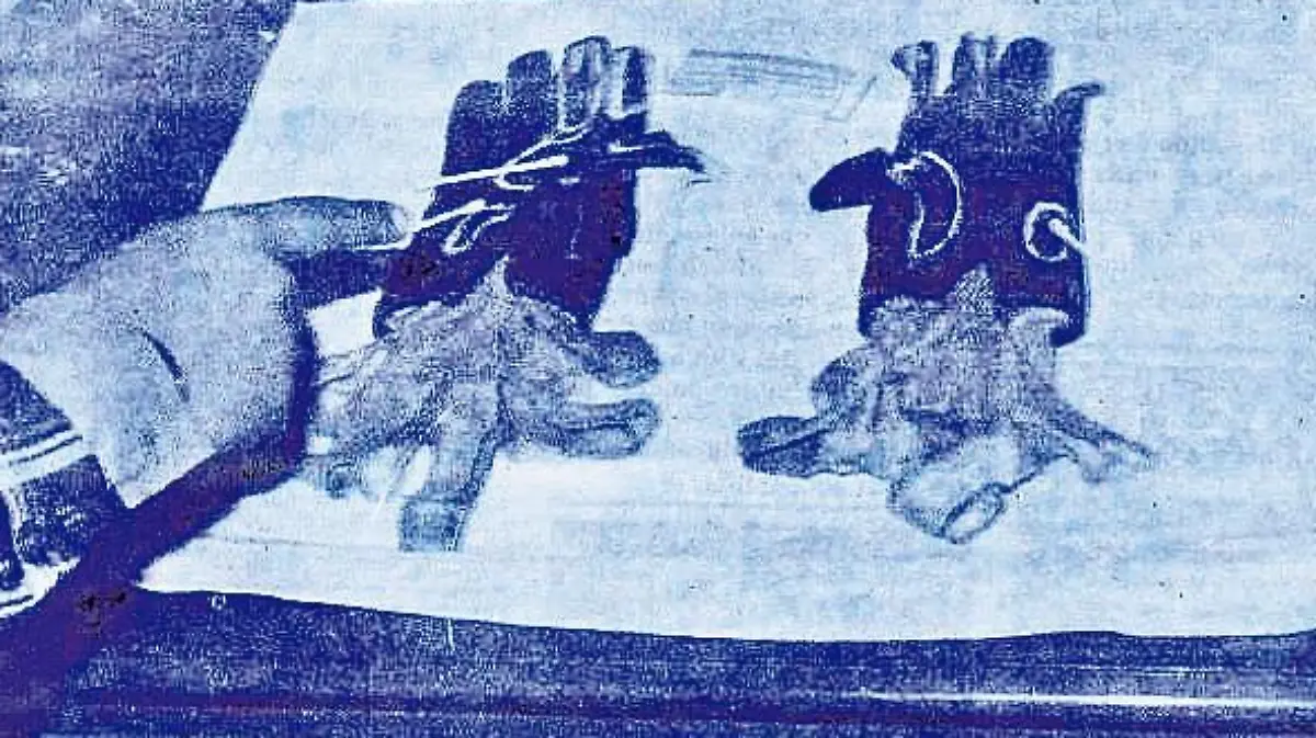 El doble crimen de los Flores Muñoz  ABOGADOS