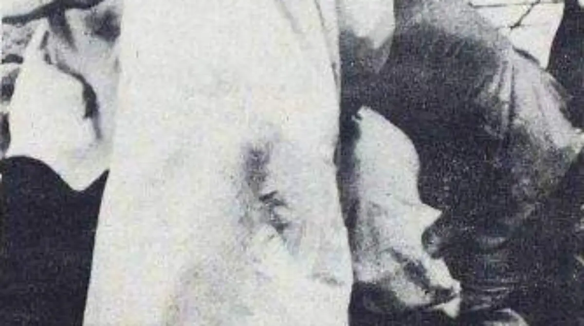 Archivos Secretos | Ronald Reagan, intento de asesinato