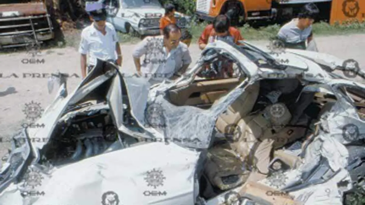 pulgista-archivoslaprensa