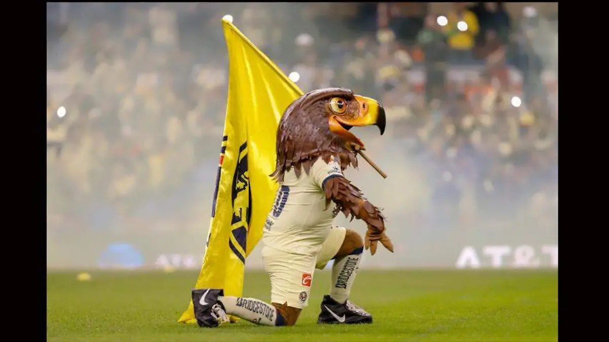 america-campeonisimo