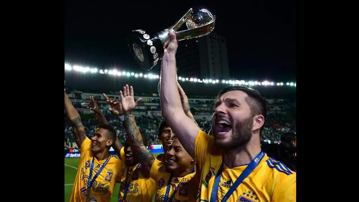 tigres