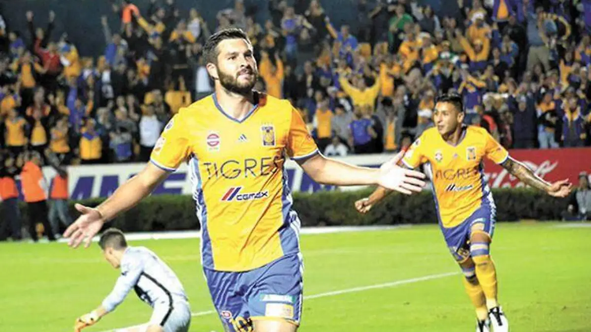 TIGRES1