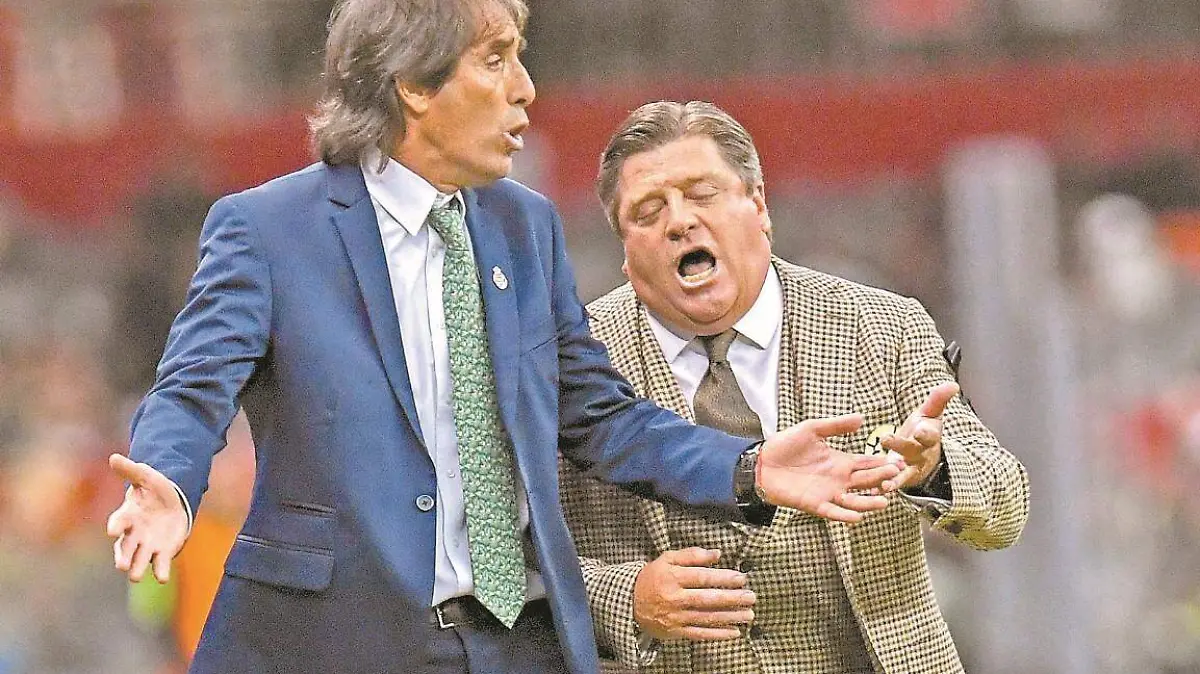 Piojo