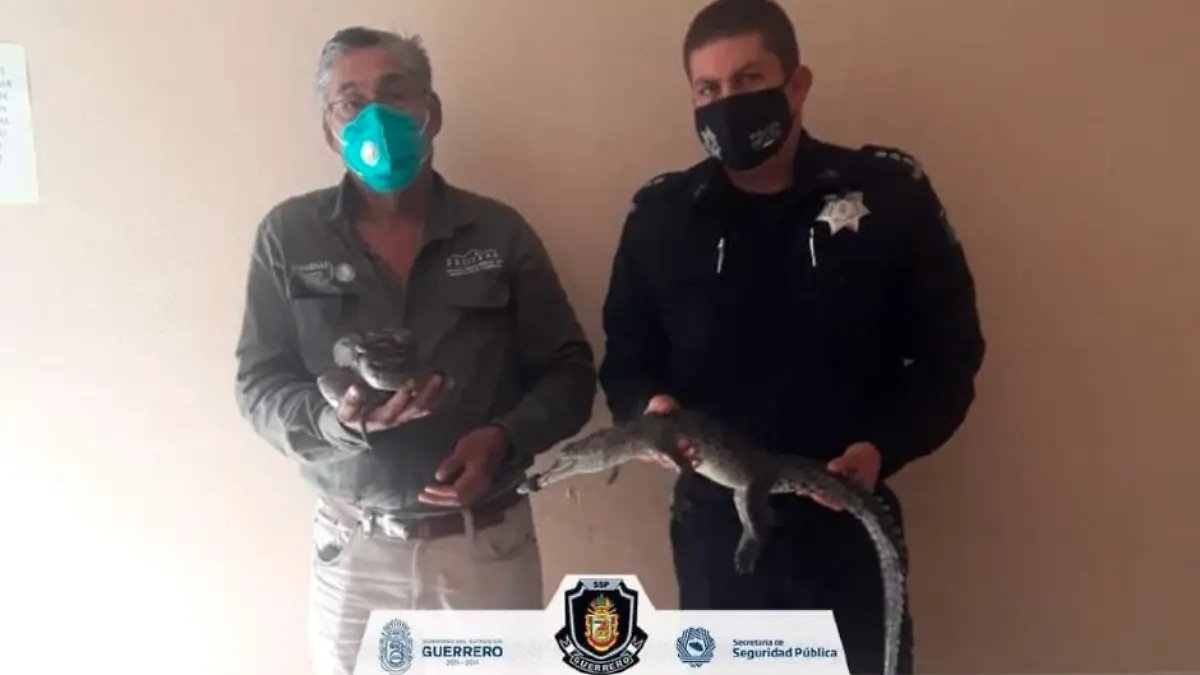 Captura de Pantalla 2020-12-29 a la(s) 18.52.48