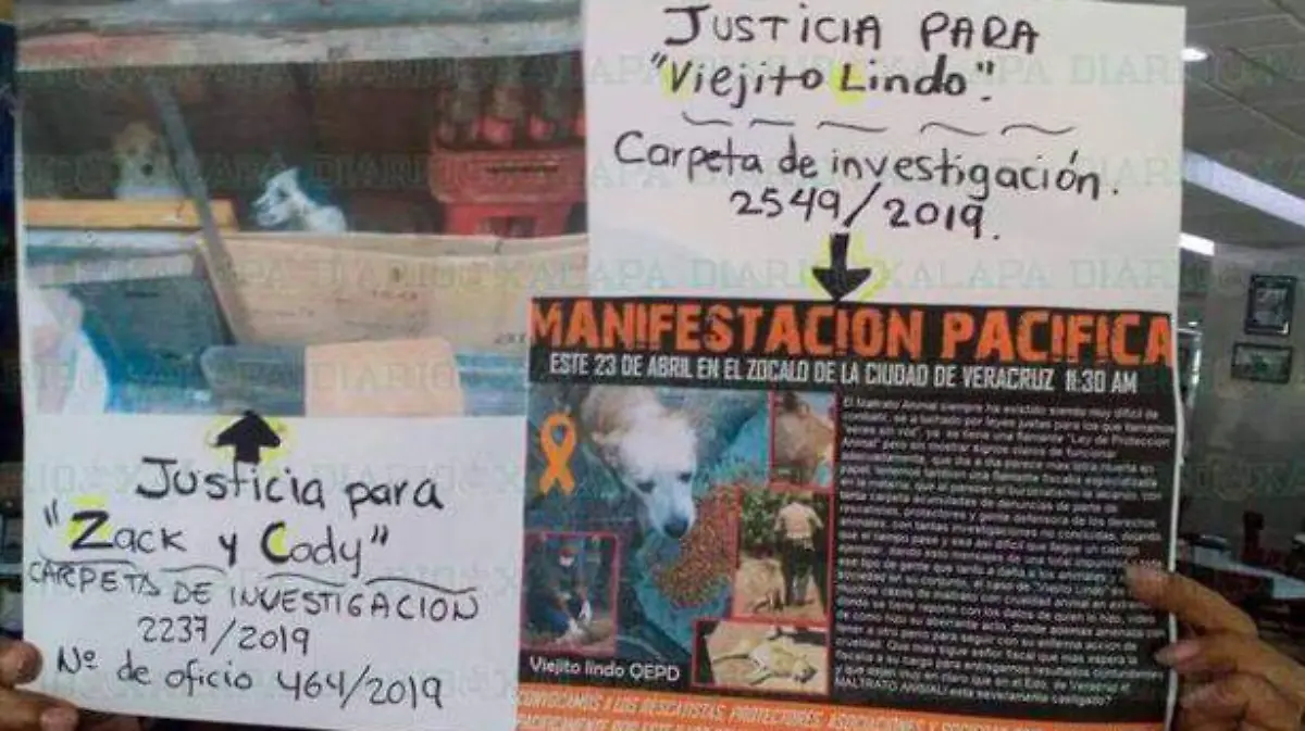 ambientalistas