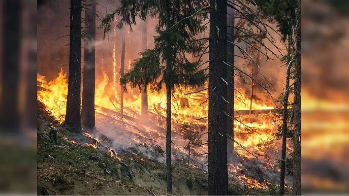 Incendios-Oaxaca4