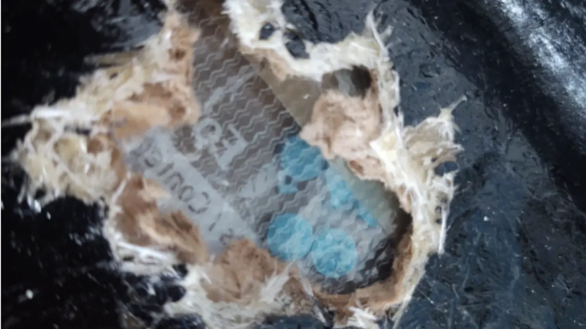 Captura de Pantalla 2020-10-21 a la(s) 20.46.39