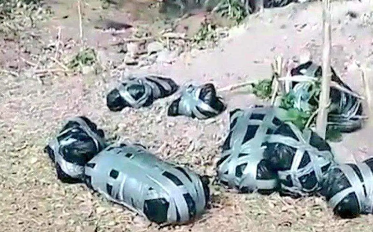 WhatsApp Image 2021-02-12 at 5.04.52 PM