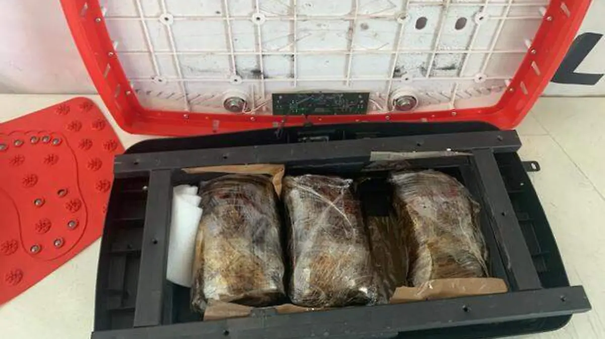 sinaloa-droga