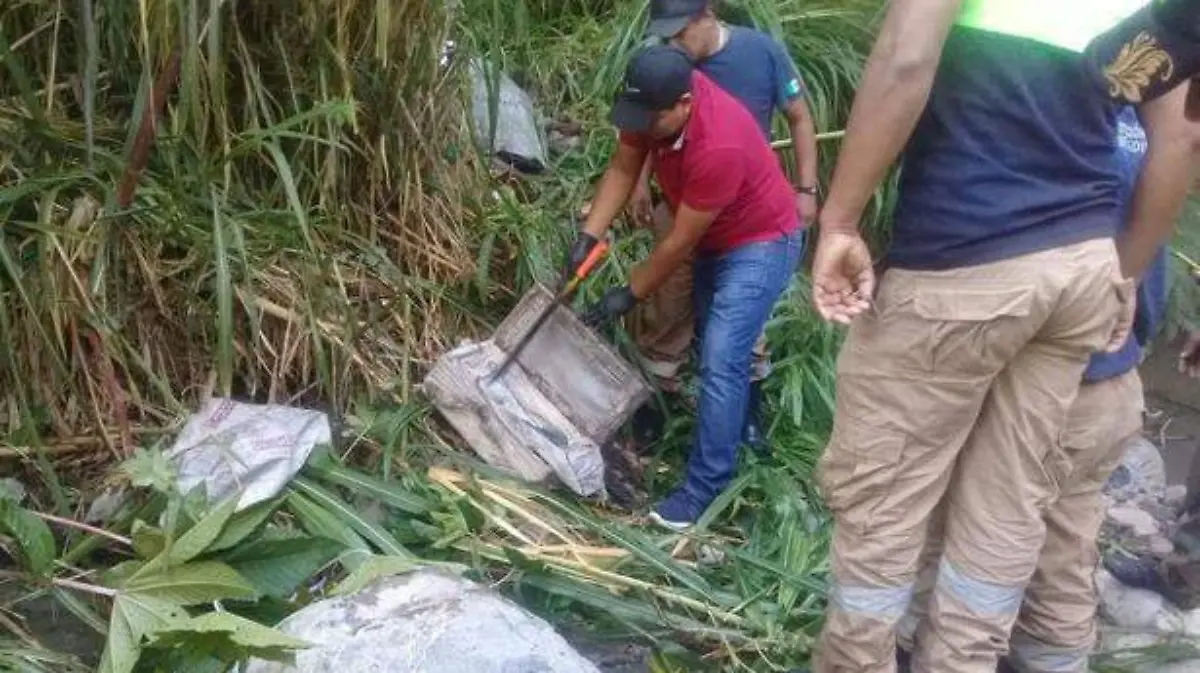 feto-encontrado-en-veracruz-(2)