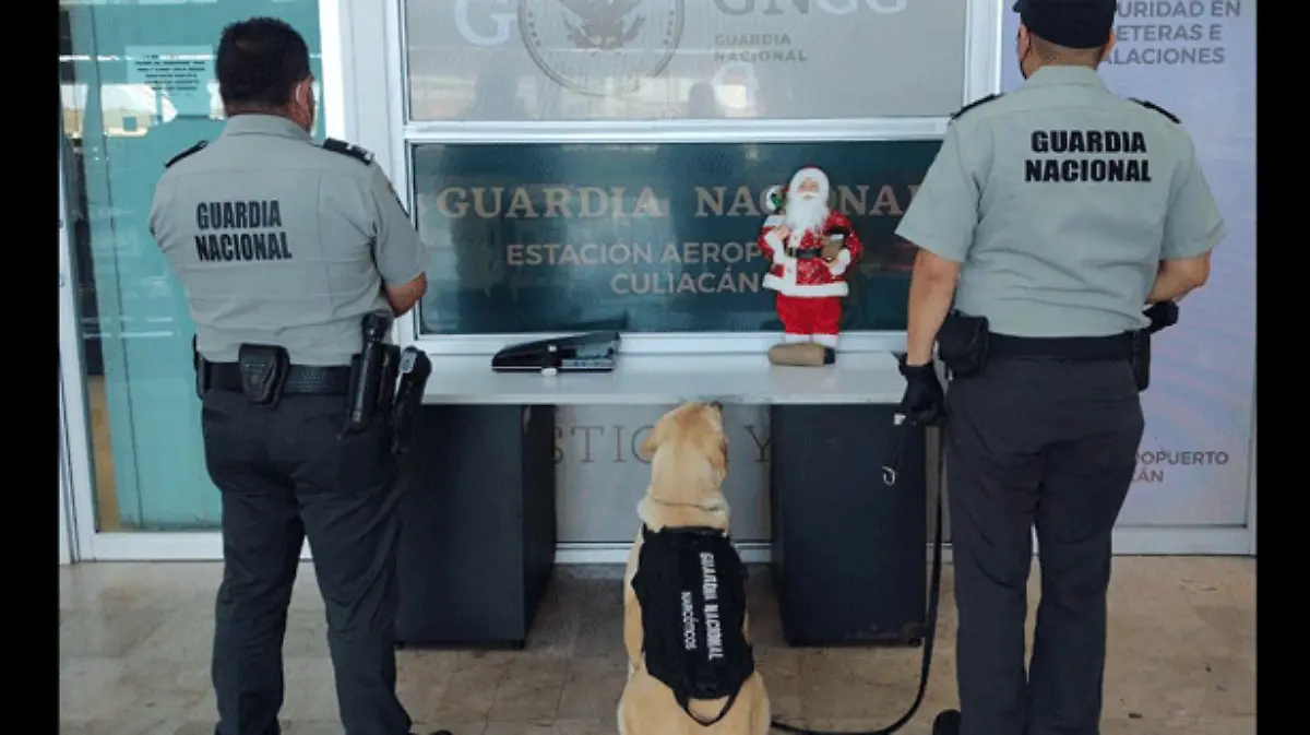 decomiso-droga-sinaloa-(1)