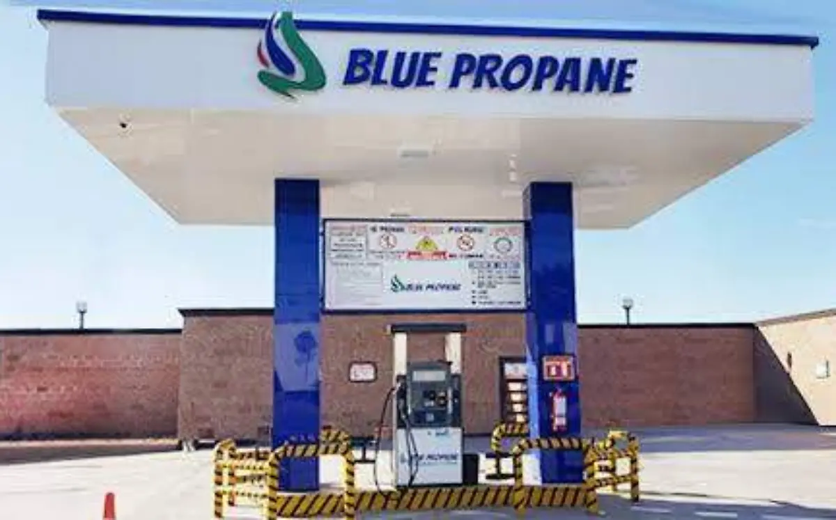 WhatsApp Image 2021-01-18 at 8.00.58 PM (2)