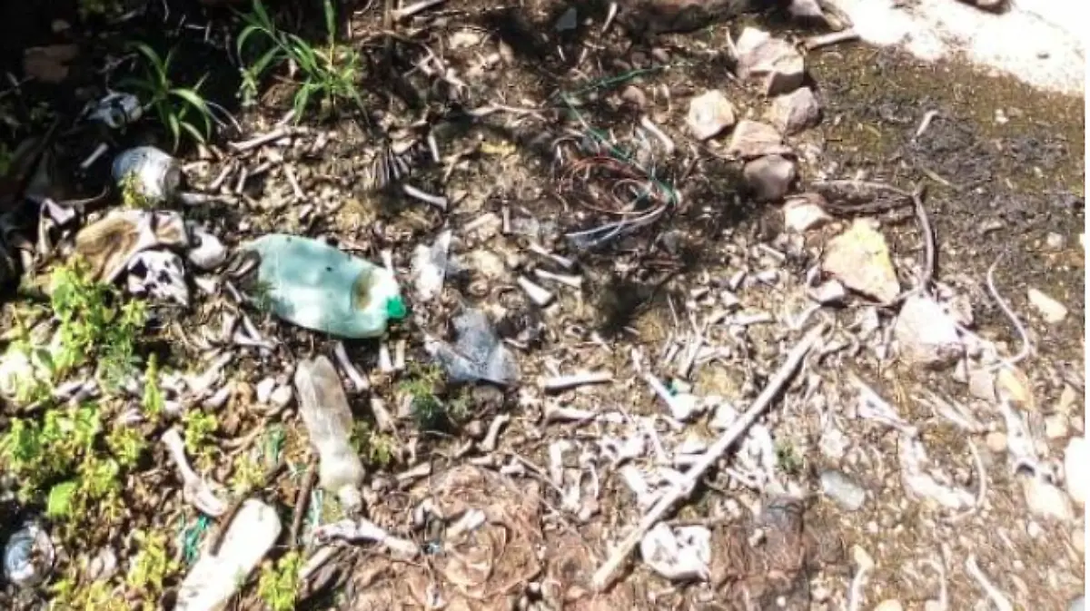 Captura de Pantalla 2020-09-23 a la(s) 17.15.02