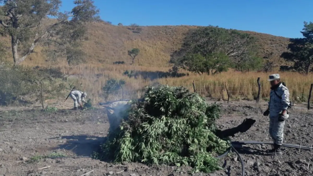 Captura de Pantalla 2021-01-27 a la(s) 17.11.30