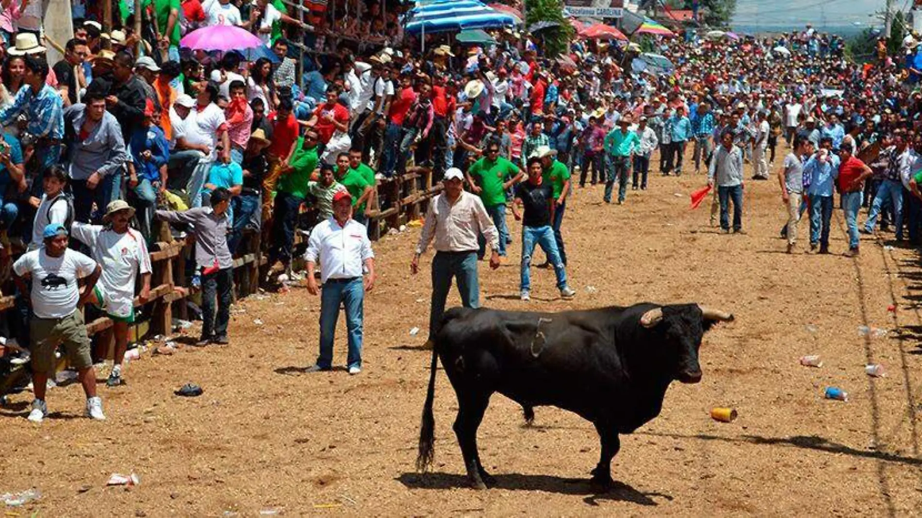 Feria-Hidalgo