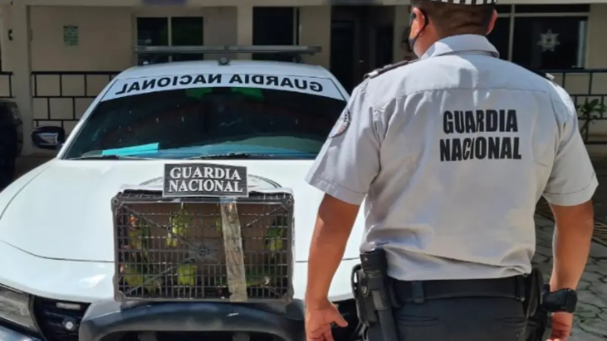 Captura de Pantalla 2020-09-15 a la(s) 17.16.19