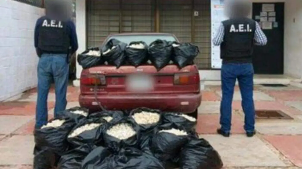 aseguran huevos de tortuga