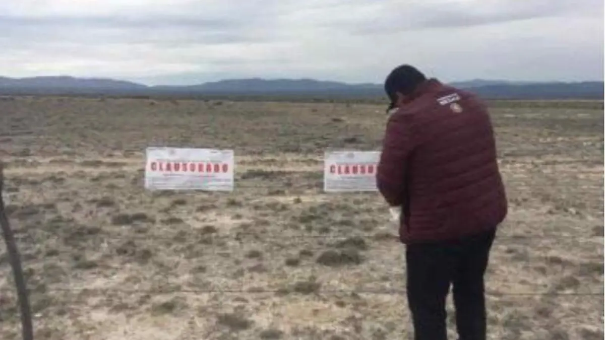 perrito de la pradera