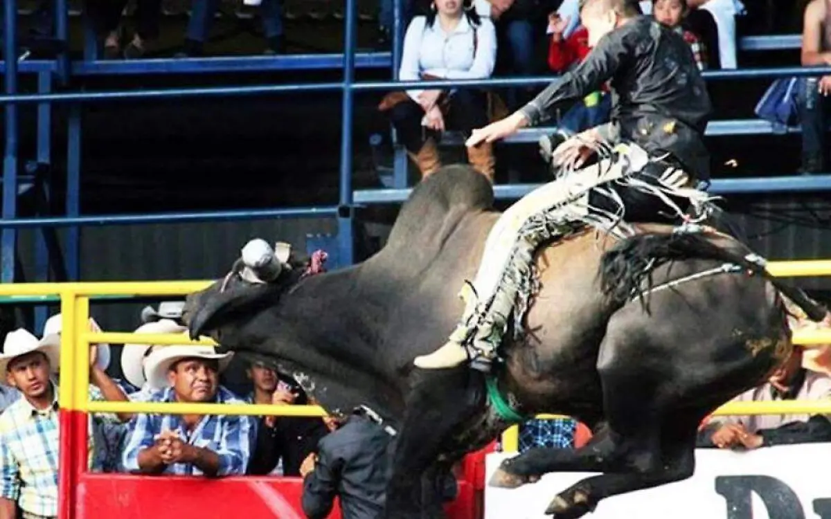 WhatsApp Image 2021-02-04 at 4.47.56 PM