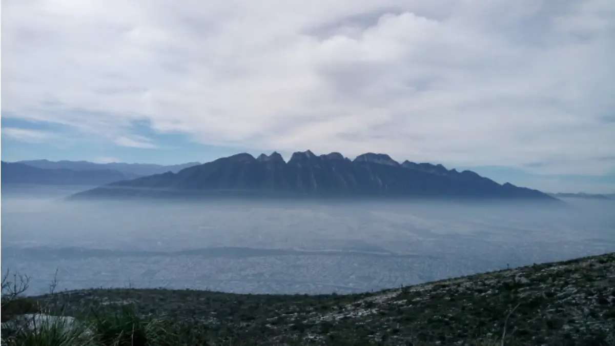 Captura de Pantalla 2022-03-03 a la(s) 17.58.13