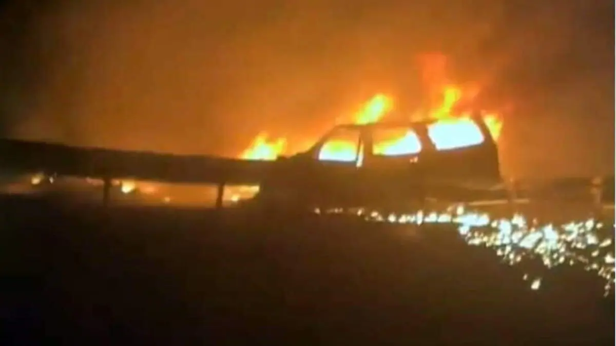 accidente vaca Cortesía Protección Civil de Nuevo León