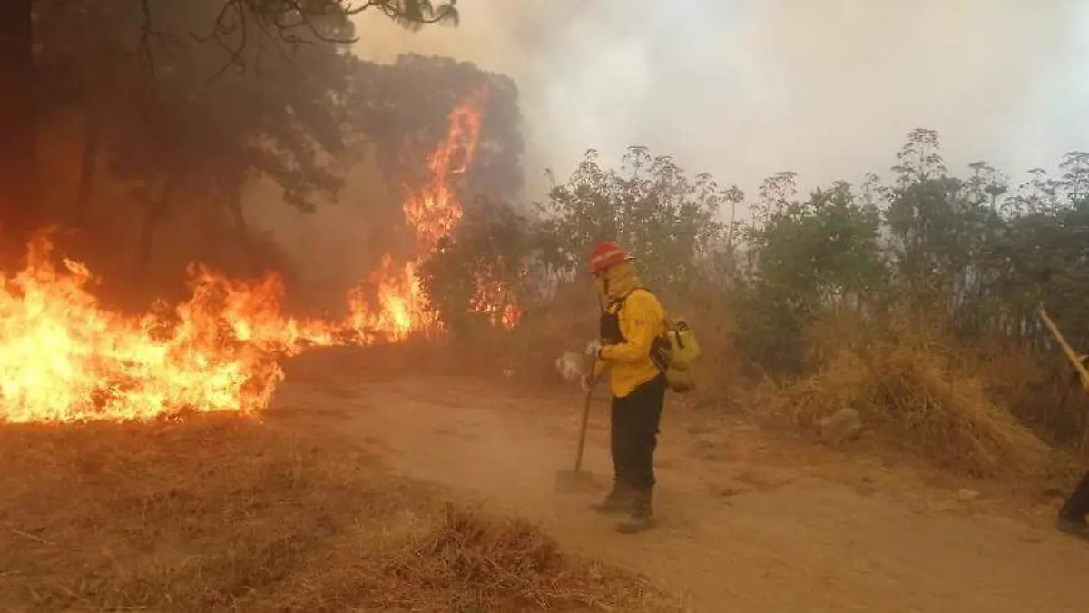 incendio-primavera