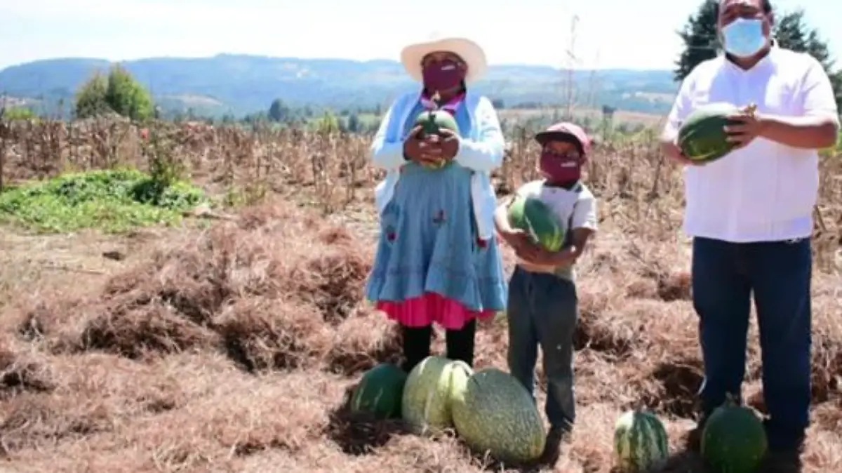 Captura de Pantalla 2021-03-05 a la(s) 16.45.34