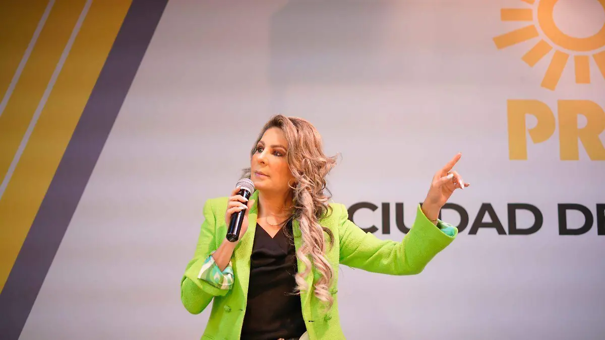 noria arias prd CORTESIA