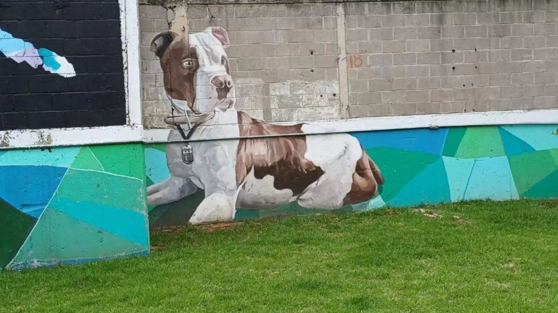 Centro de Transferencia Canina del Metro