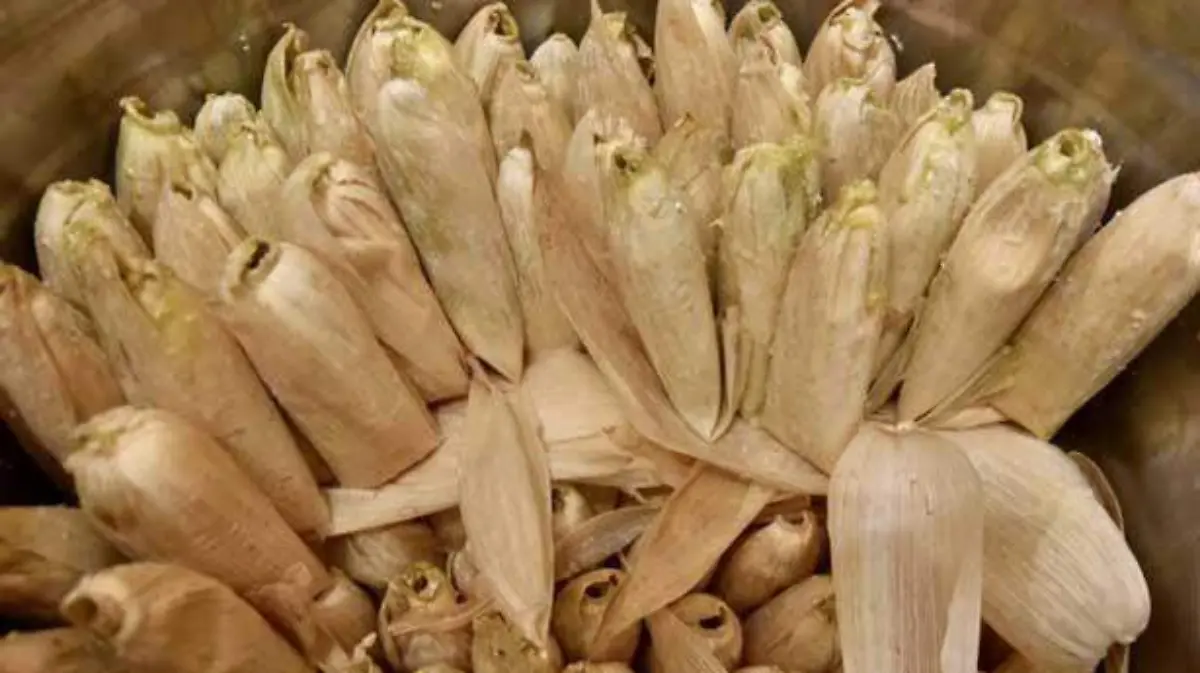 tamales