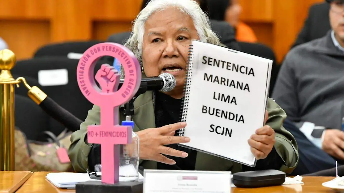 Irinea Buendía Cortés CONGRESO EDOMEX