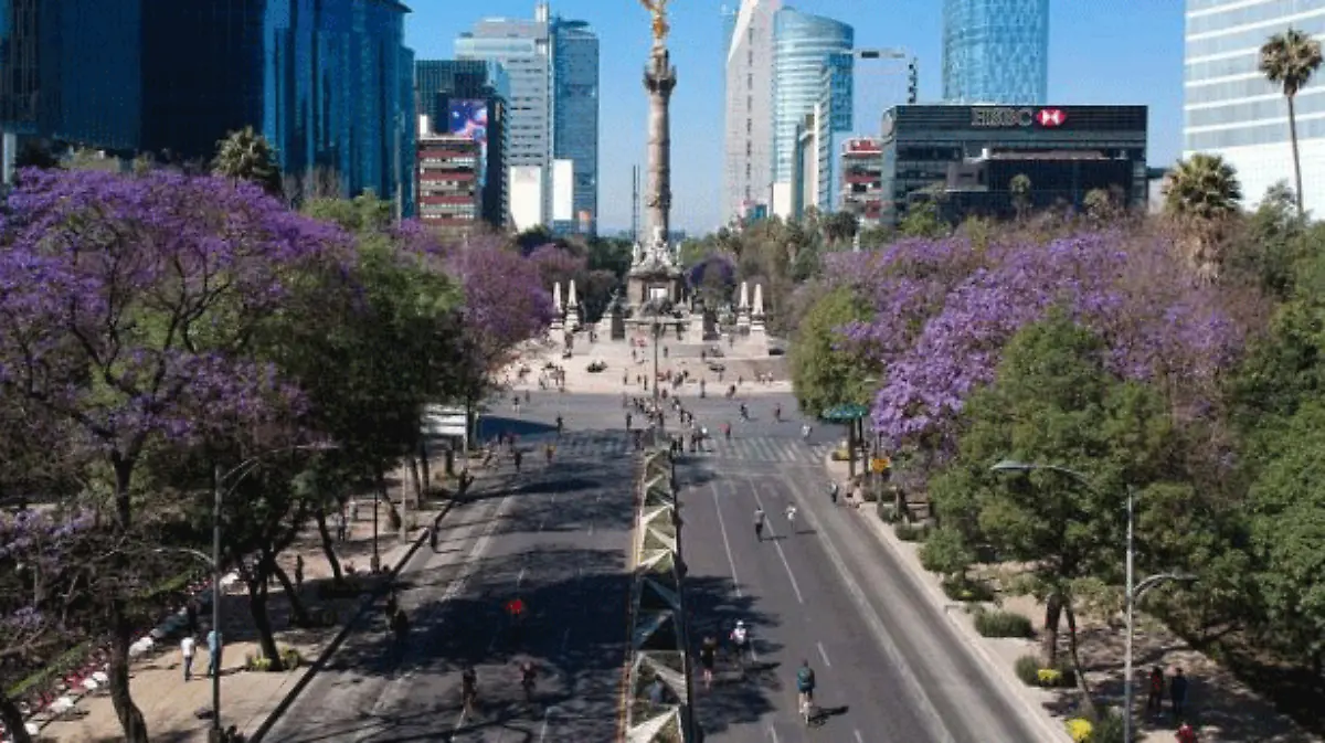 Desafío-de-Ciudades-de-WWF