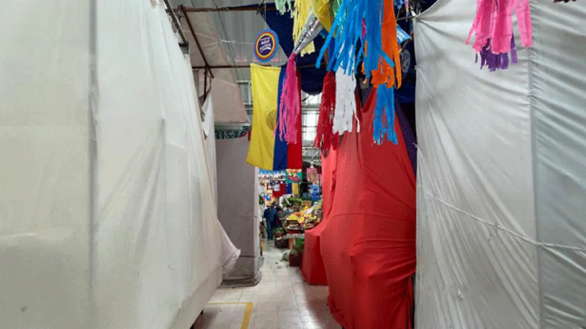 mercado-medellin-(1)