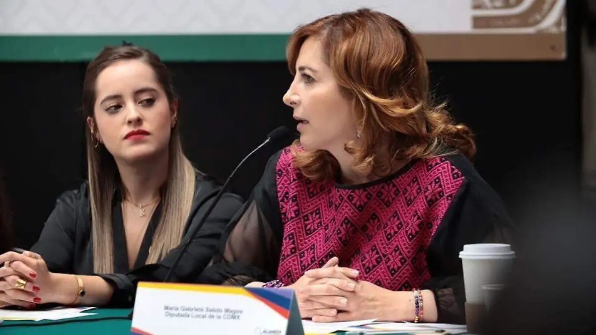 legisladora gabriela salido CORTESIA