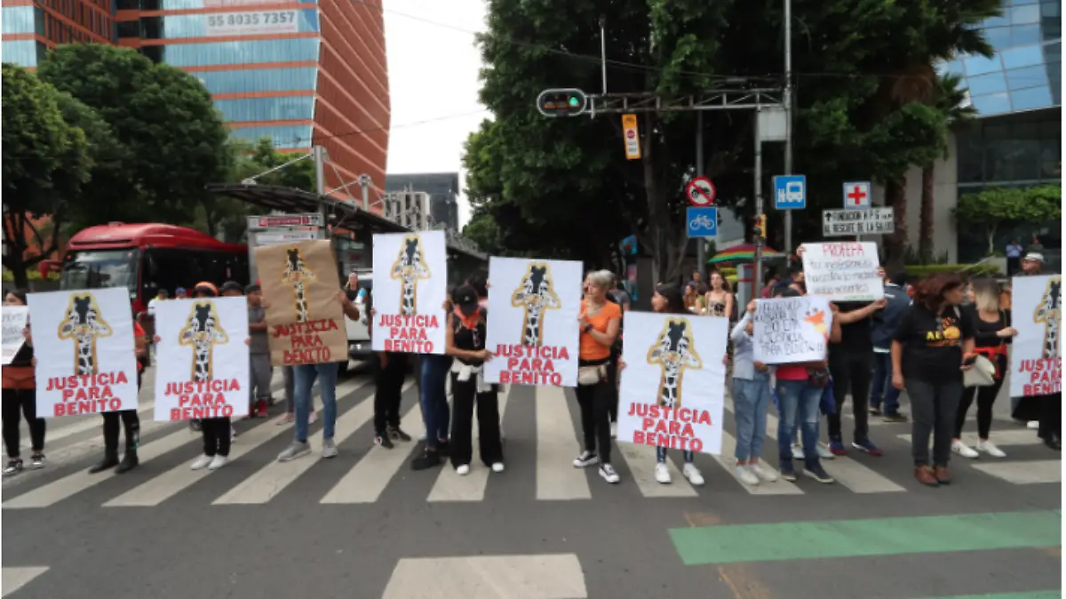 Captura de Pantalla 2023-07-07 a la(s) 21.56.04