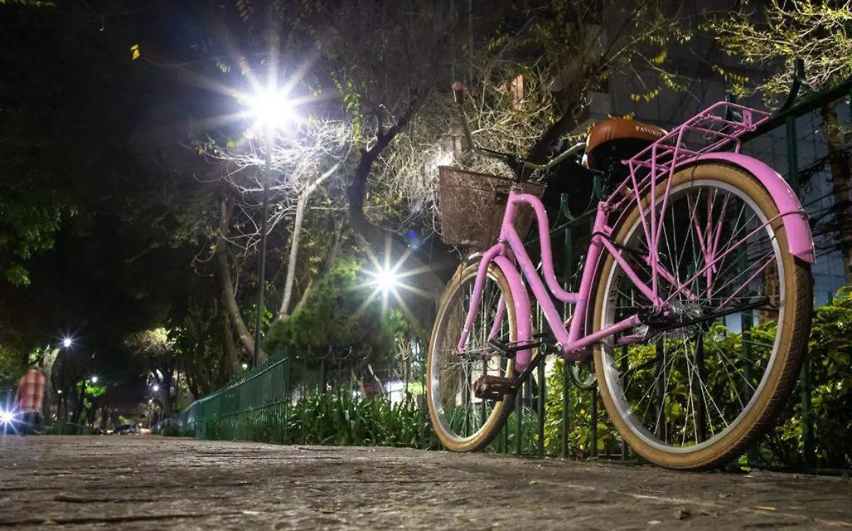 WhatsApp Image 2021-02-08 at 2.33.13 PM