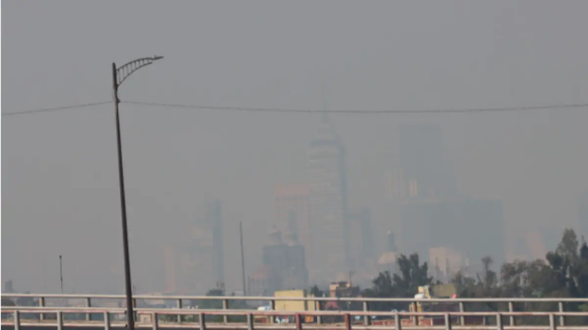 Captura de Pantalla 2022-05-03 a la(s) 16.29.08