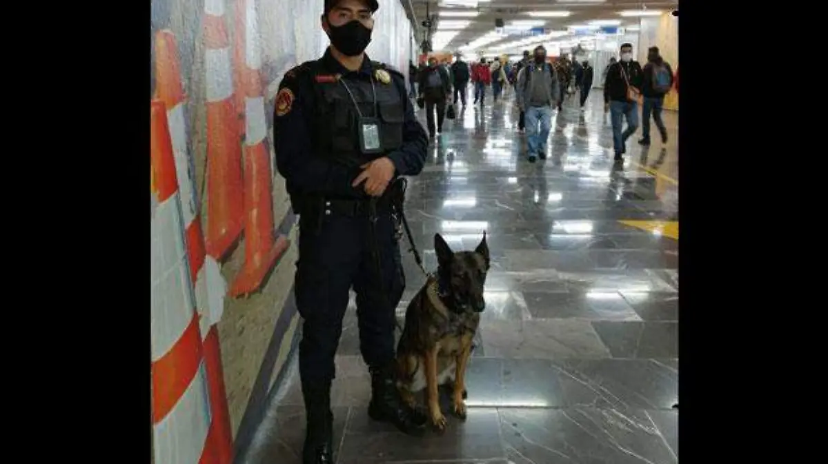 Metro-perros