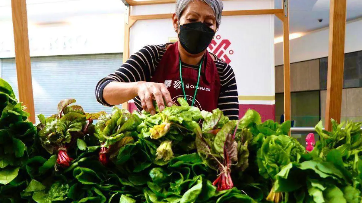 WhatsApp Image 2022-01-27 at 3.53.55 PM