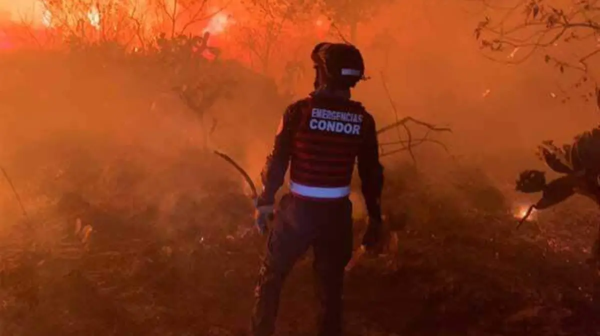 incendio-tlalpan